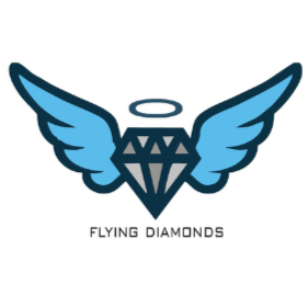 Cover photo of Flying Diamonds - Best PTE & DIGITAL MARKETING institute in Sirsa